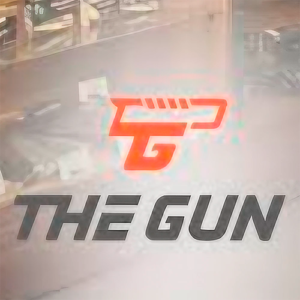 the gun (1)